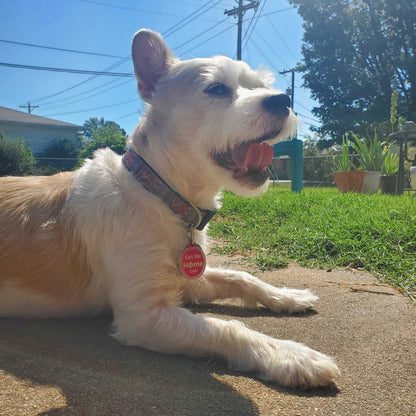 QR Pet ID Tag – Get Me Home